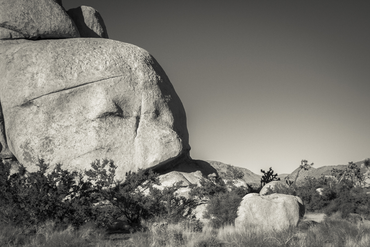 California - Joshua Tree Rock Face