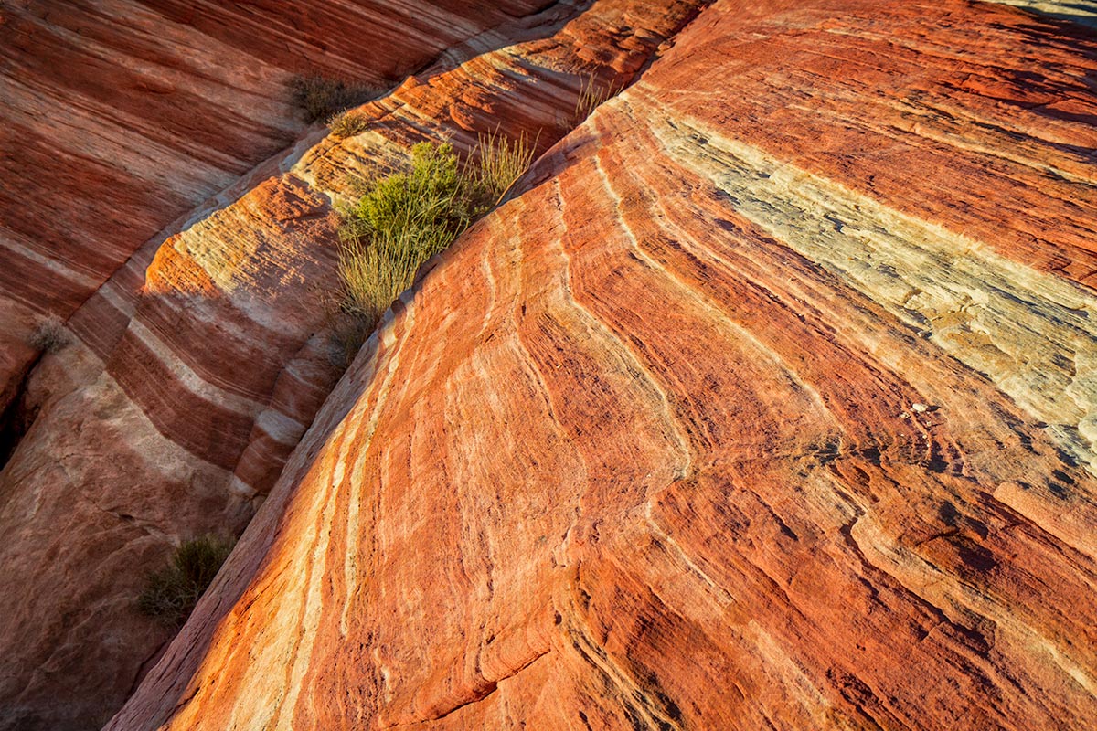 Nevada - Valley Of Fire Striped