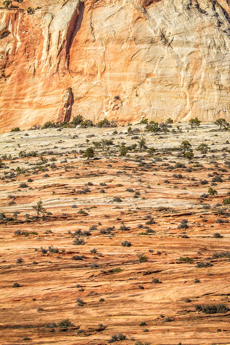 Utah - Zion - Mountain Face