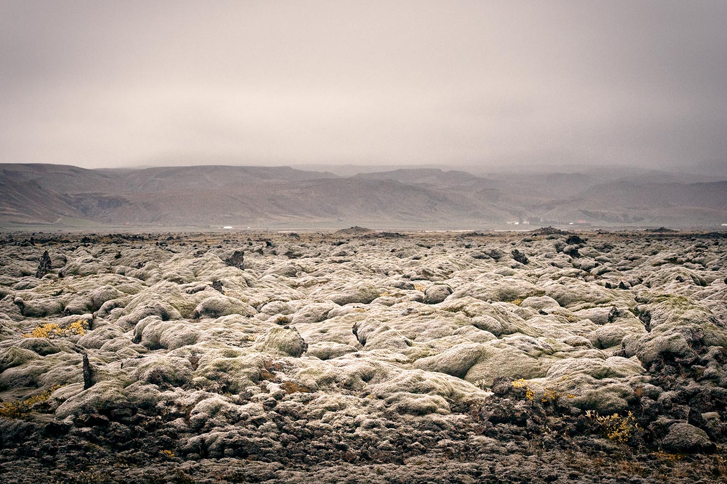 Iceland - Lava Rock Moss