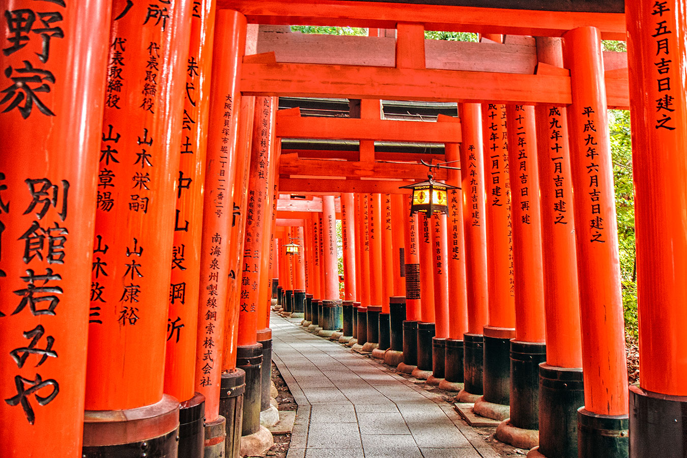 Japan - Kyoto - Torii Gates Of Fushimi Inari